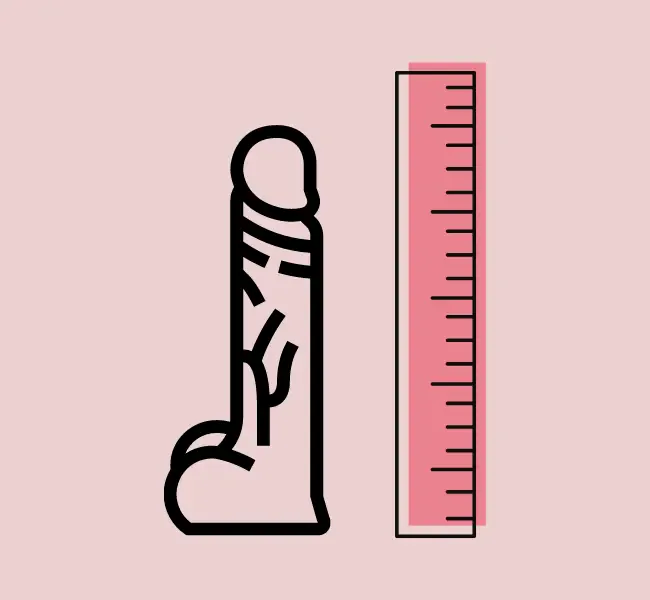 Measuring penis length before the Escort meeting with a ruler