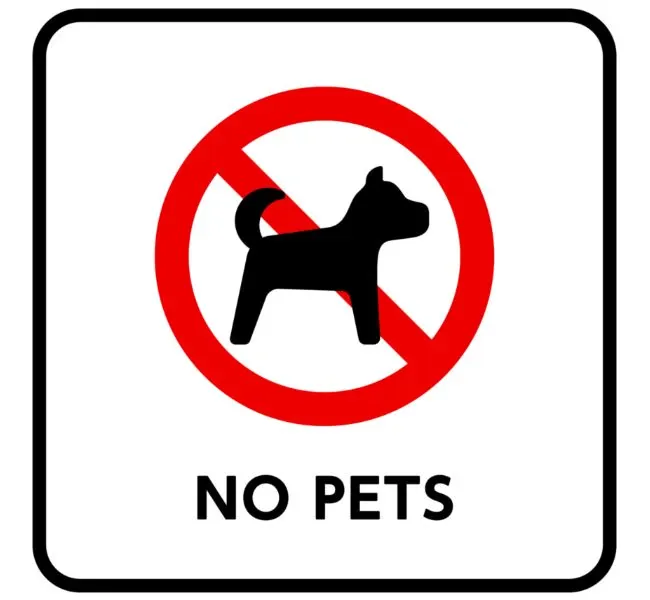 Do not bring pets on a date - this is a no-go on an escort date