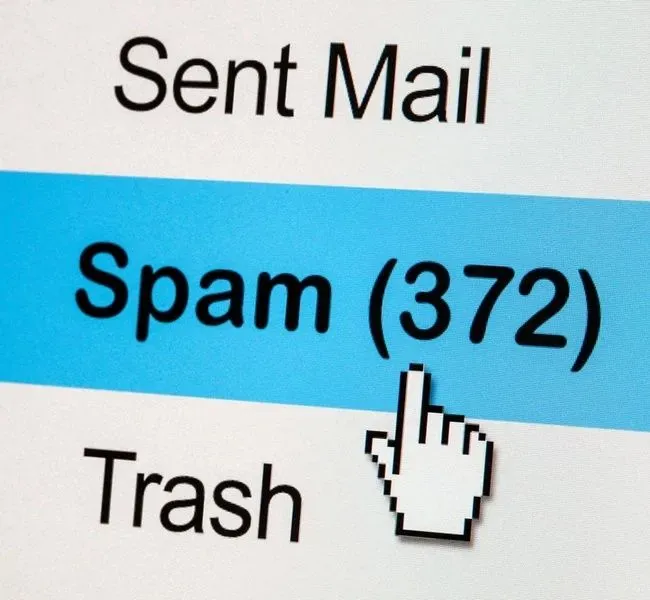 The information that the escort applicant should check her spam folder